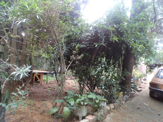 Foto imóvel
