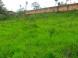 img_menor