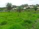 img_menor