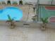 img_menor
