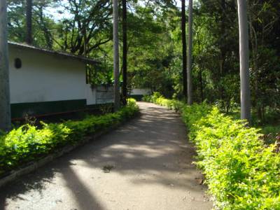 Galpão de 4.800,00m², para alugar