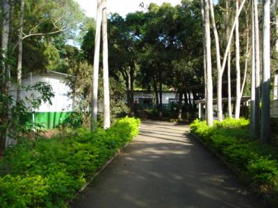 Galpão de 4.800,00m², para alugar