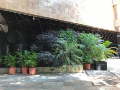 Loja de 2.000,00m², para alugar